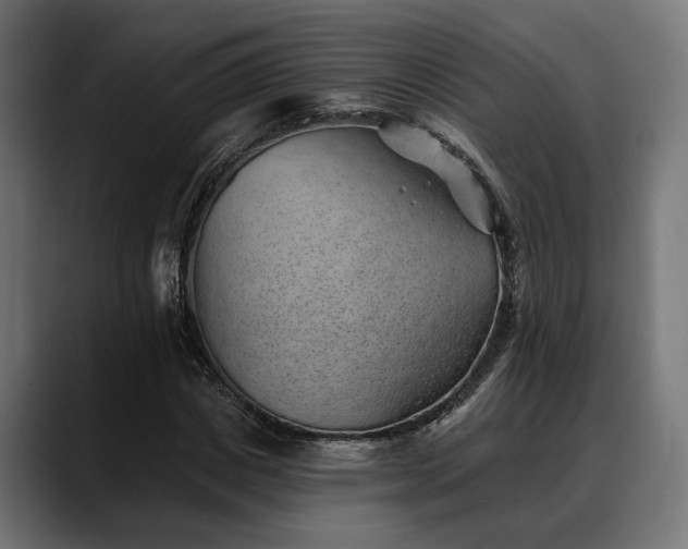 X0000088450825200705291511