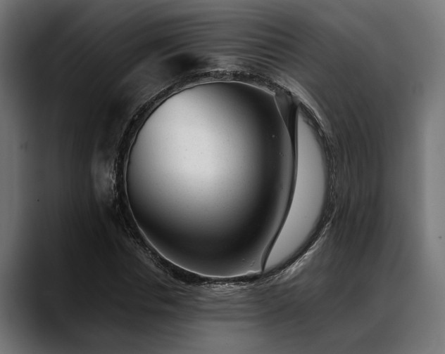 X0000088450826200705291511