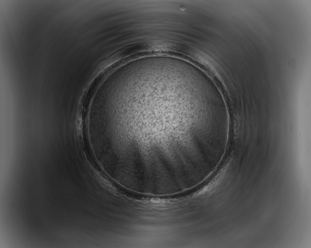 X0000088450827200705291511