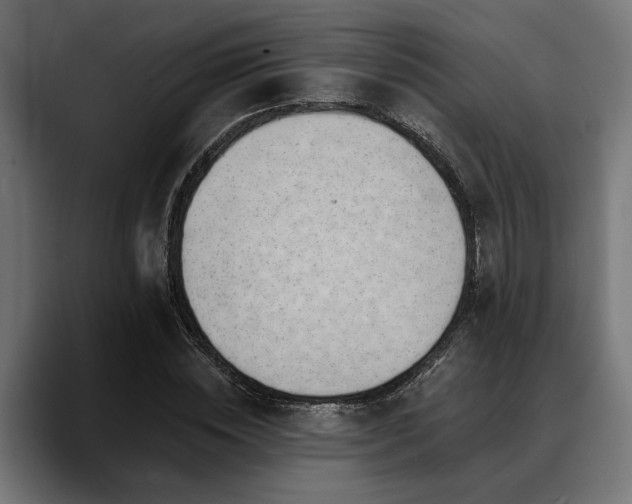 X0000088450828200705291511