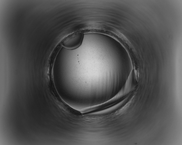 X0000088450830200705291511