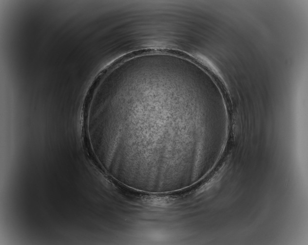 X0000088450831200705291511