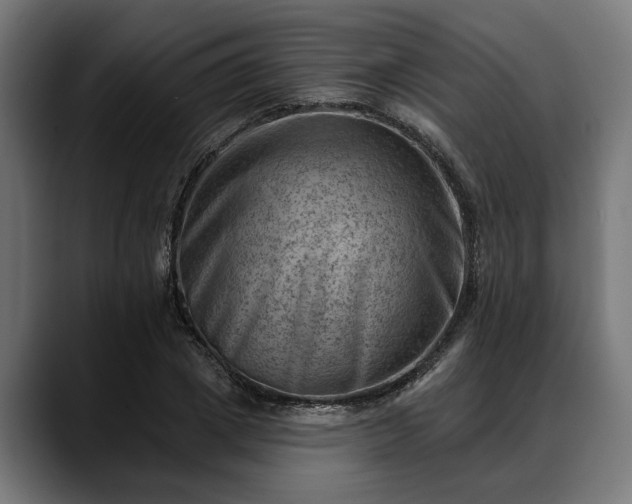 X0000088450833200705291511