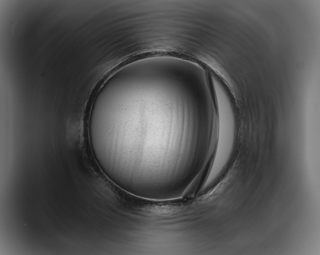 X0000088450834200705291511