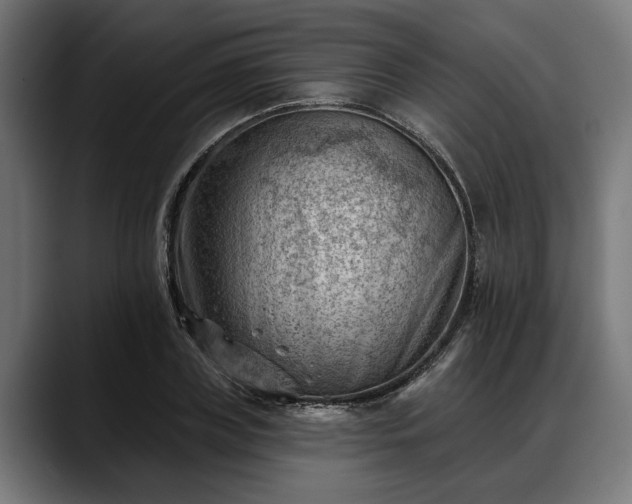 X0000088450835200705291511