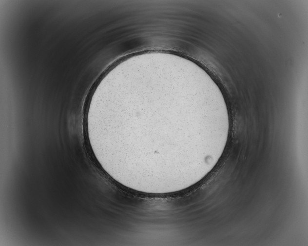 X0000088450836200705291511
