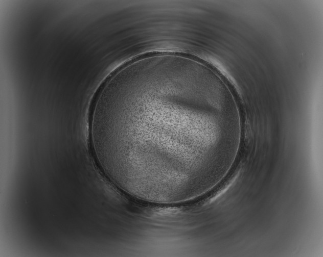 X0000088450837200705291511