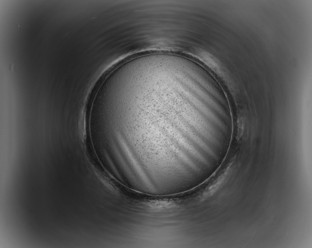 X0000088450838200705291511