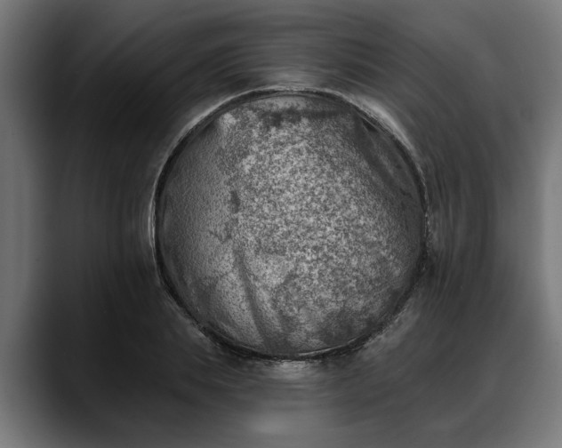 X0000088450839200705291511