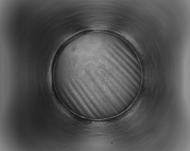 X0000088450840200705291511