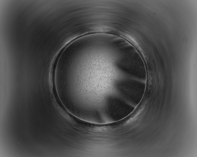 X0000088450843200705291511