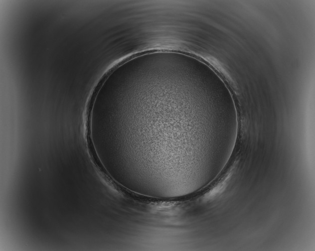 X0000088450846200705291511