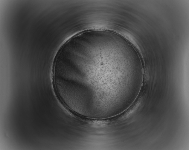 X0000088450847200705291511