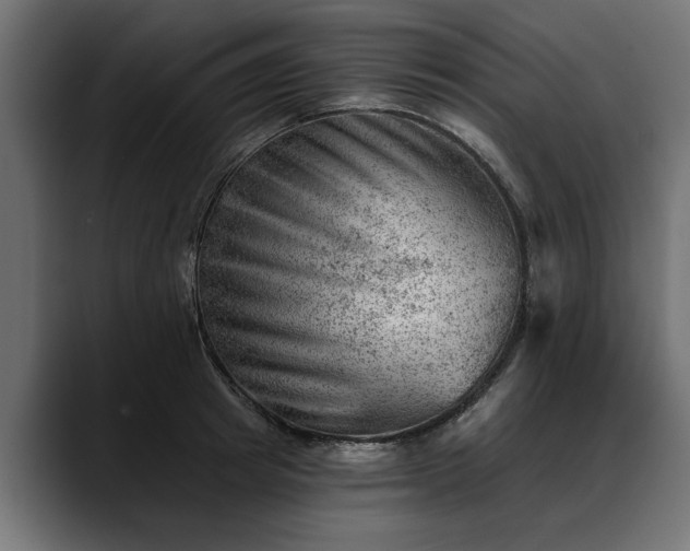 X0000088450849200705291511