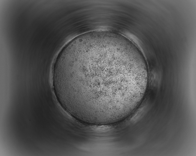 X0000088450851200705291511