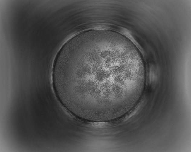 X0000088450853200705291511
