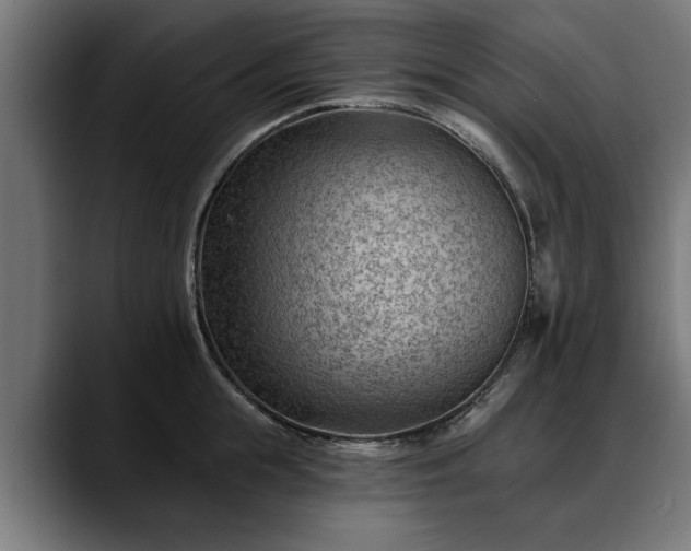 X0000088450855200705291511