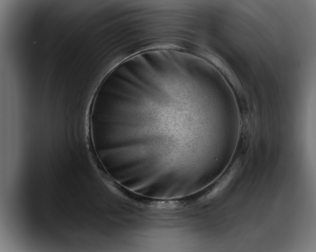 X0000088450858200705291511