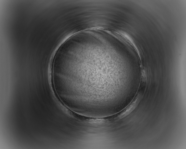 X0000088450859200705291511