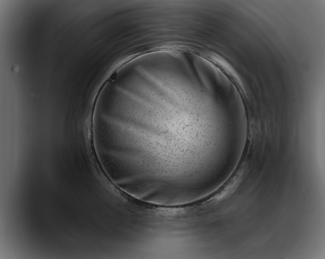 X0000088450860200705291511