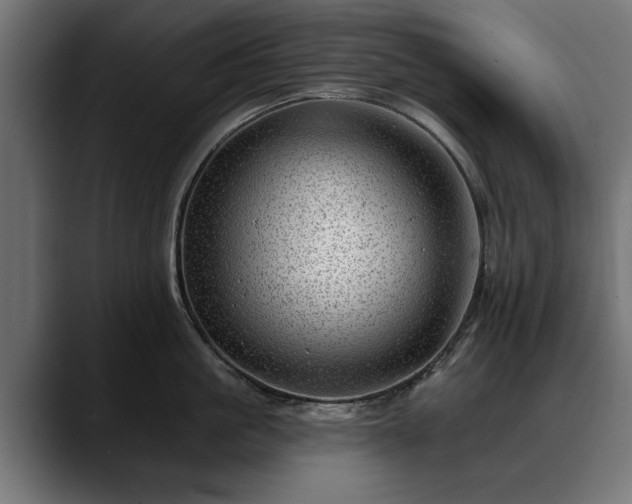 X0000088450861200705291511