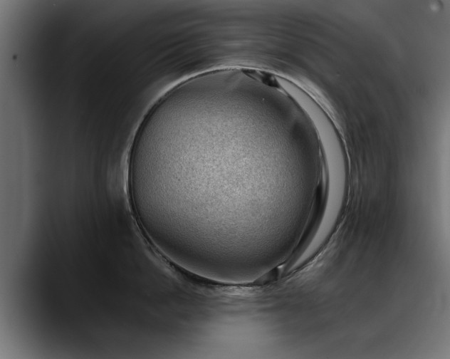 X0000088450862200705291511
