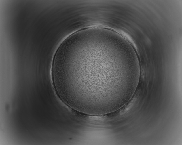 X0000088450863200705291511