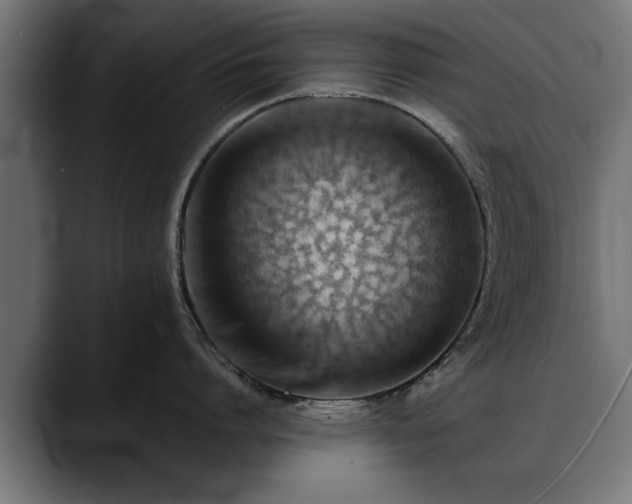 X0000088450864200705291511