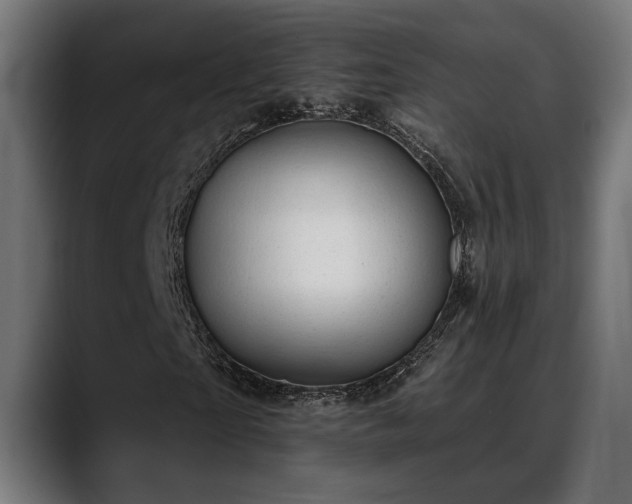 X0000088450865200705291511