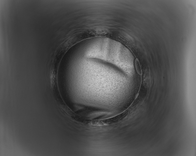 X0000088450866200705291511