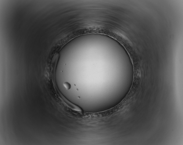 X0000088450869200705291511