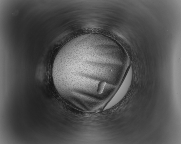 X0000088450870200705291511