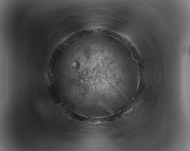 X0000088450871200705291511