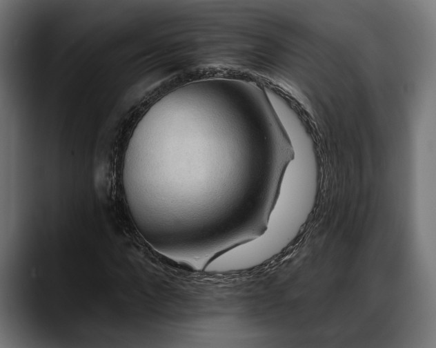 X0000088450872200705291511