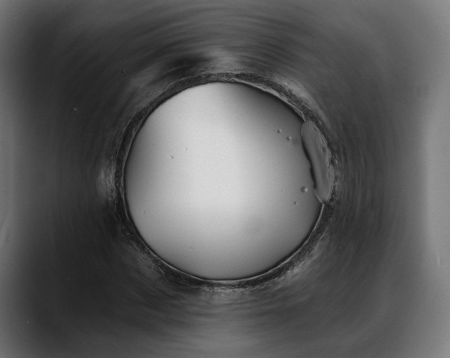 X0000088450873200705291511