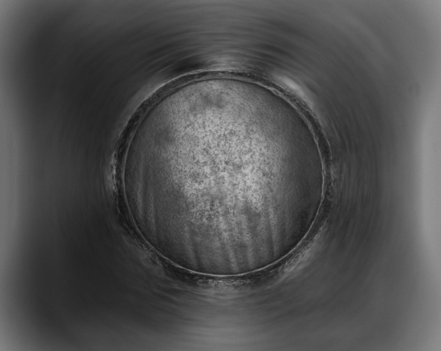 X0000088450875200705291511