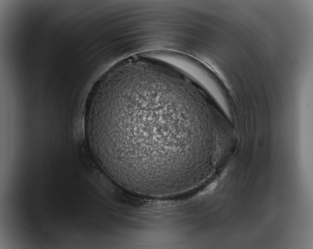 X0000088450877200705291511