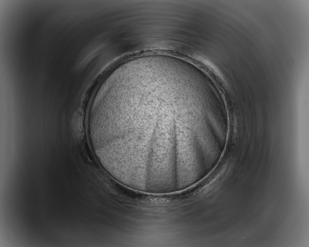 X0000088450878200705291511