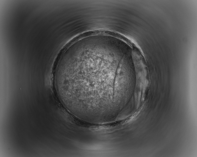 X0000088450879200705291510