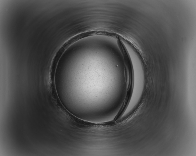 X0000088450880200705291510