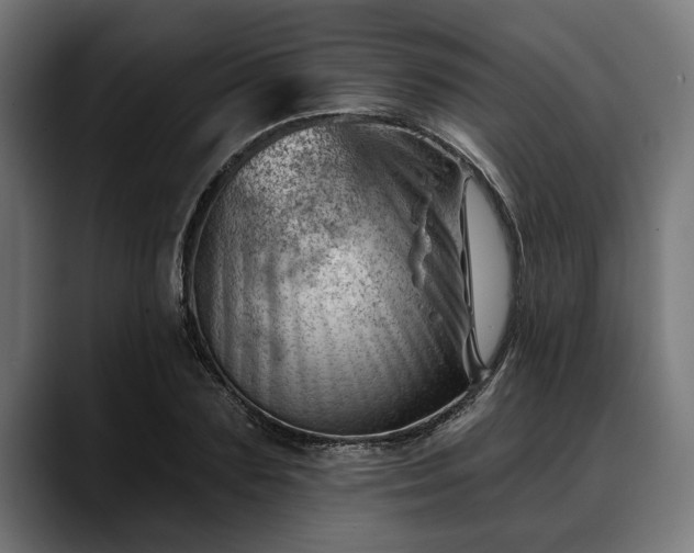 X0000088450883200705291510