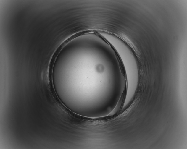 X0000088450884200705291510
