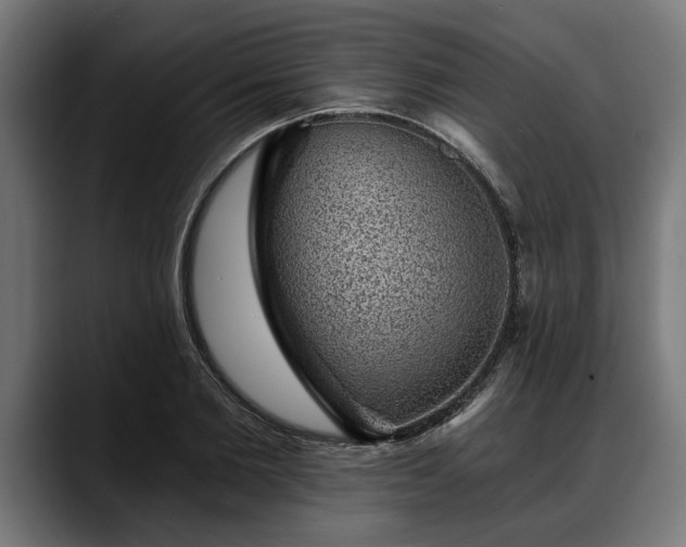 X0000088450885200705291510