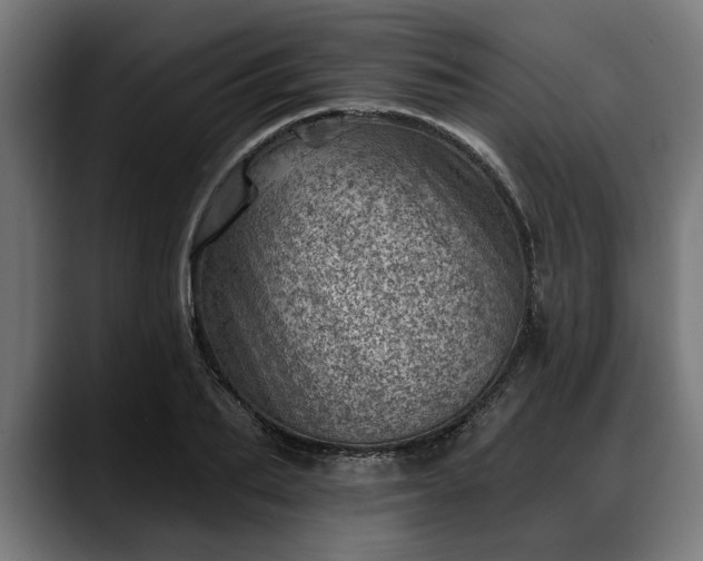 X0000088450887200705291510