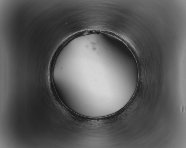 X0000088450888200705291510