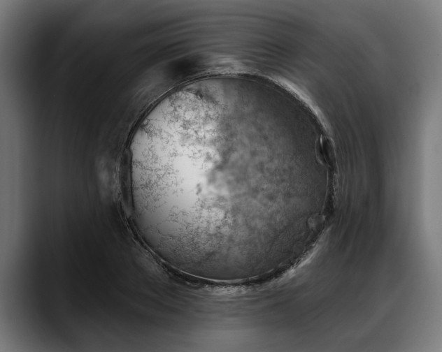 X0000088450889200705291510