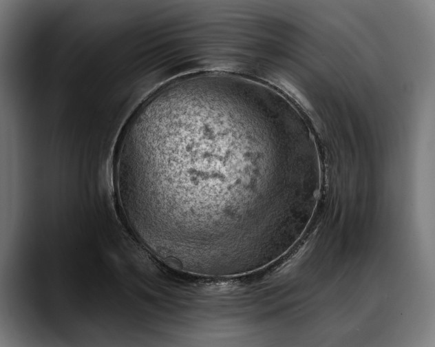 X0000088450891200705291510