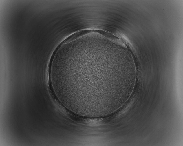 X0000088450892200705291510