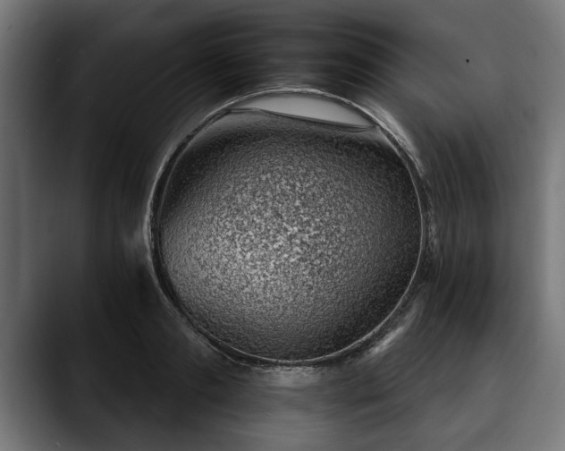 X0000088450893200705291510
