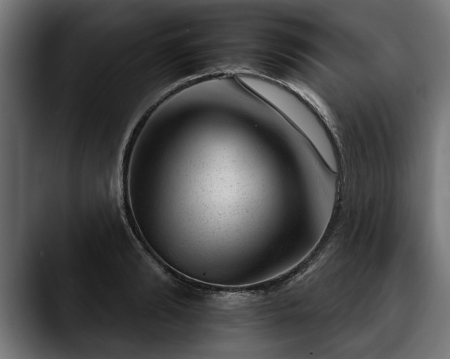 X0000088450894200705291510